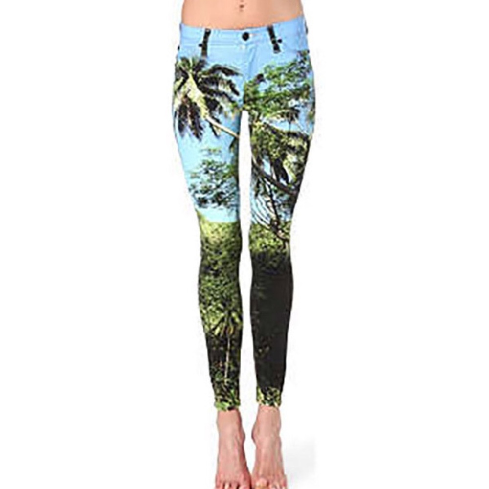 HUDSON LA | Midrise Nico | Women's size 26 | Palm Tree Design | RN 107906